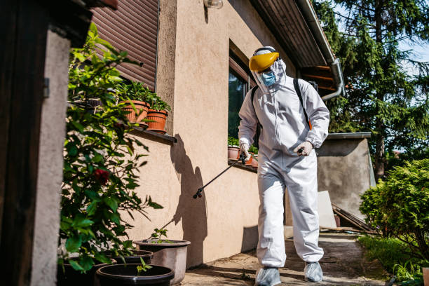 Reliable Whitley City, KY Pest Control Solutions