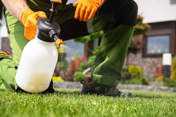 Best Pest Control for Restaurants  in Whitley City, KY
