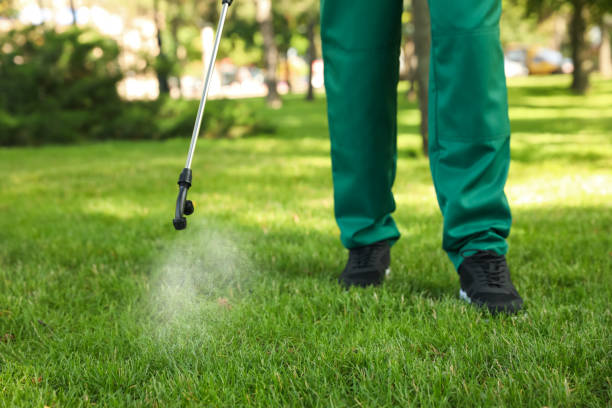 Best Affordable Pest Control Services  in Whitley City, KY