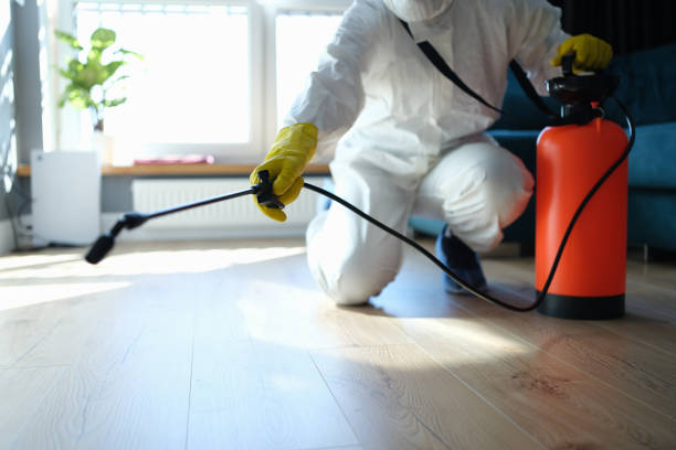 Best Flea Control Services  in Whitley City, KY