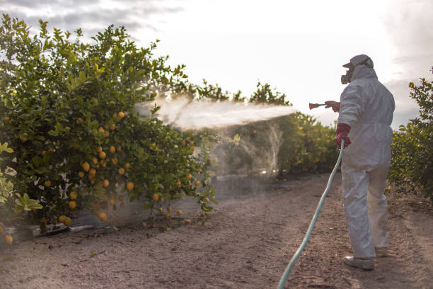 Best Best Pest Control Companies  in Whitley City, KY