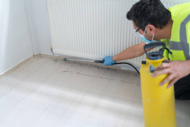 Best Wasp Removal Services  in Whitley City, KY